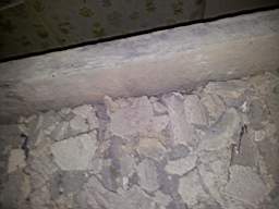 fkillineybeforeinternal 1095.jpg